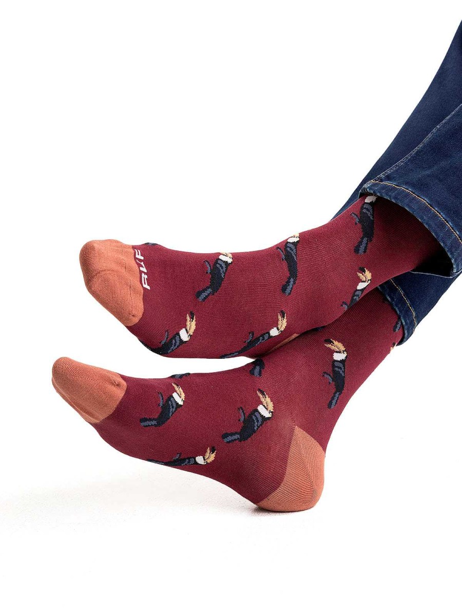 MEN Rockford Socks | Men's Bamboo Socks Toucan Burgundy