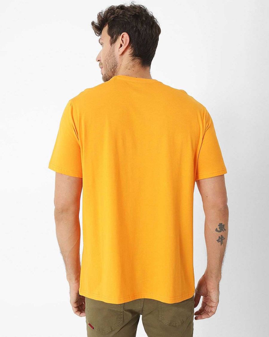 MEN Rockford T-shirts | Men's Casual Short Sleeve T-Shirt The Road Ahead Graphic Tee 8 Orange Cat Autumn Glory