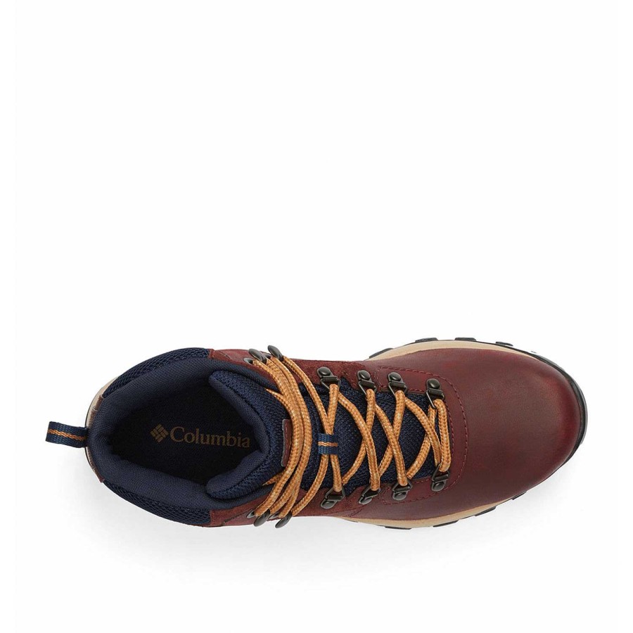 MEN Rockford See All | Newton Ridge Plus II (259) Madder Brown