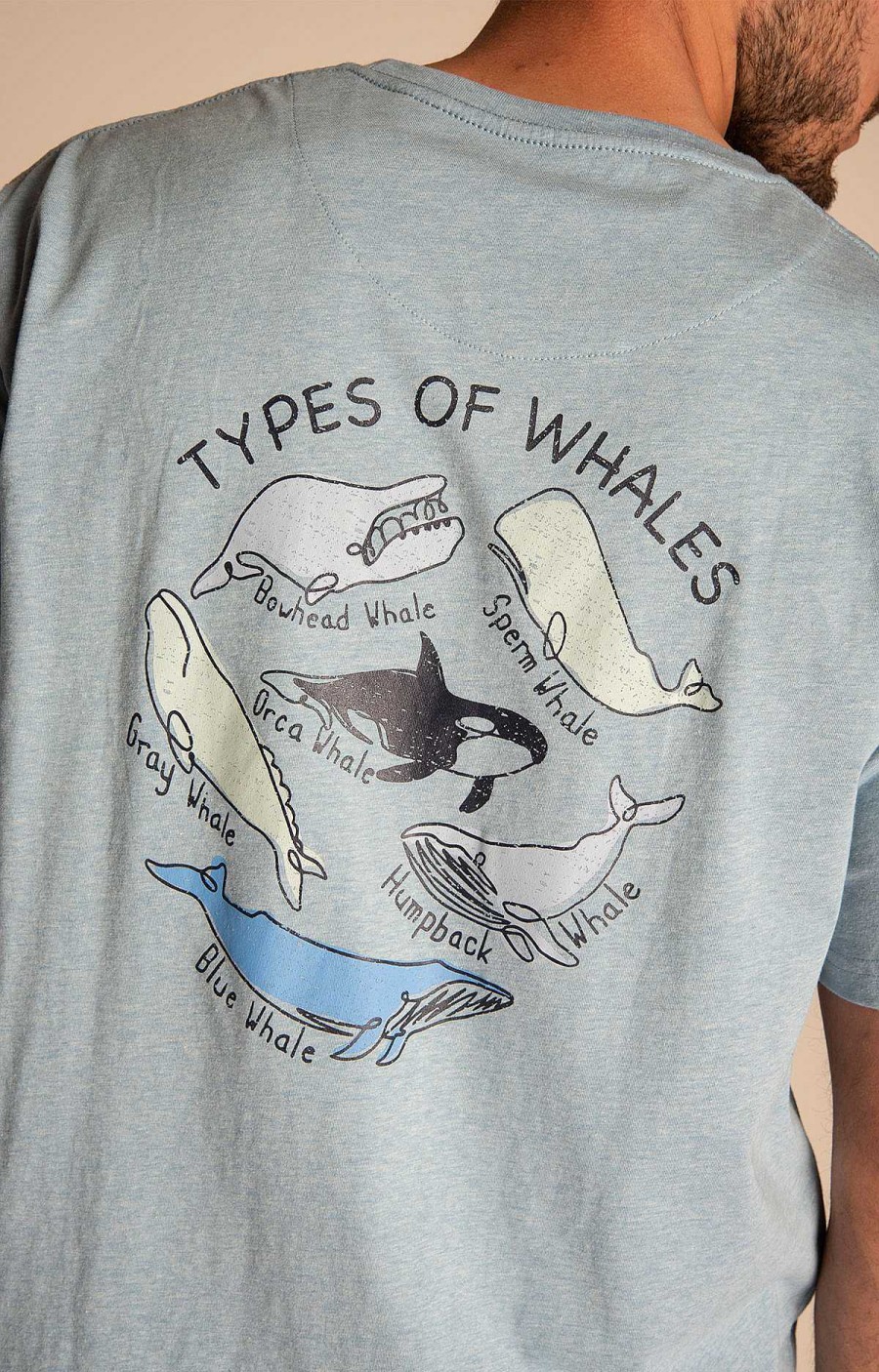 MEN Rockford T-shirts | Men's Organic Cotton T-shirt Niceprint Blue Rockford Illusion Whales